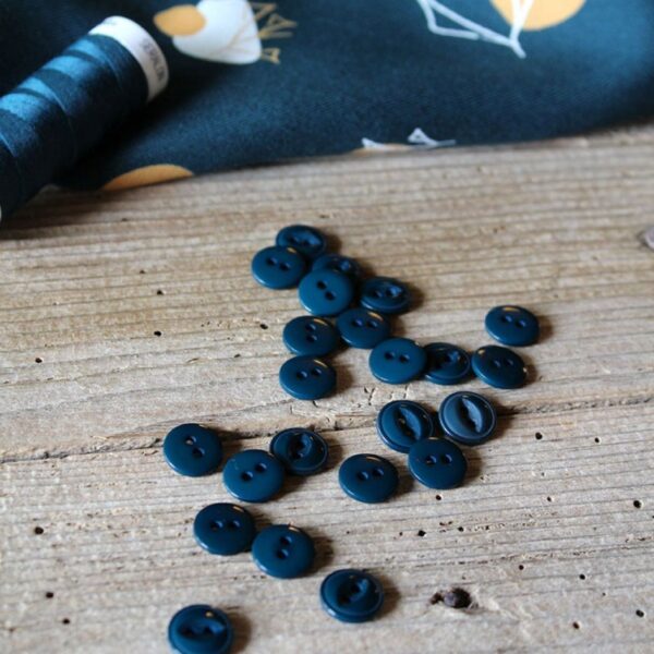 Eglantine et Zoe Navy Blue Buttons