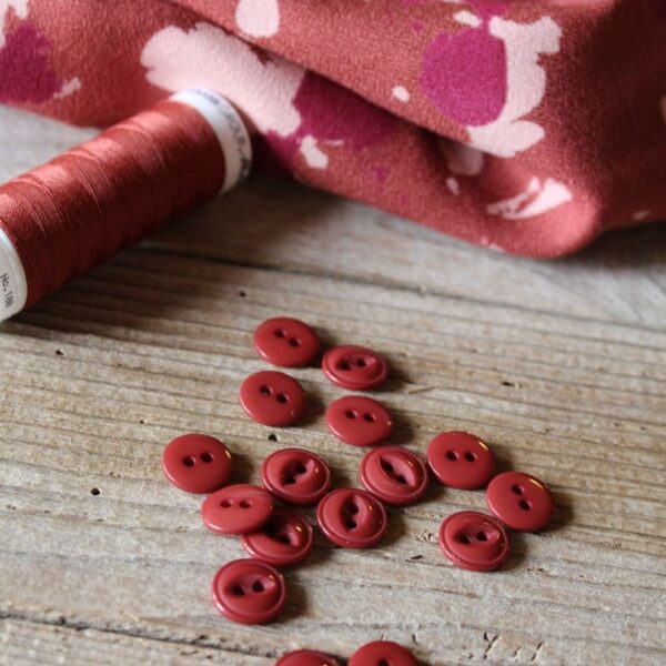 Eglantine et Zoe Terracotta buttons