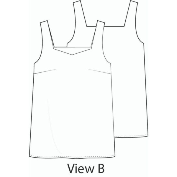 Homer and Howells Innes top sketch view