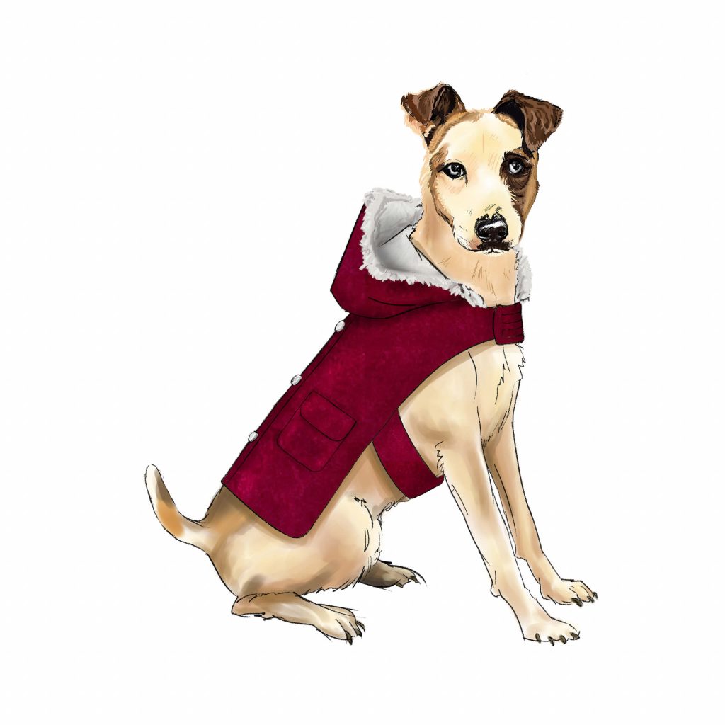dog coat sewing pattern illustration
