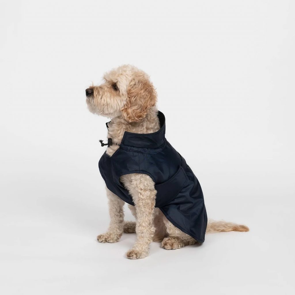 dog coat sewing pattern by The Assembly Line
