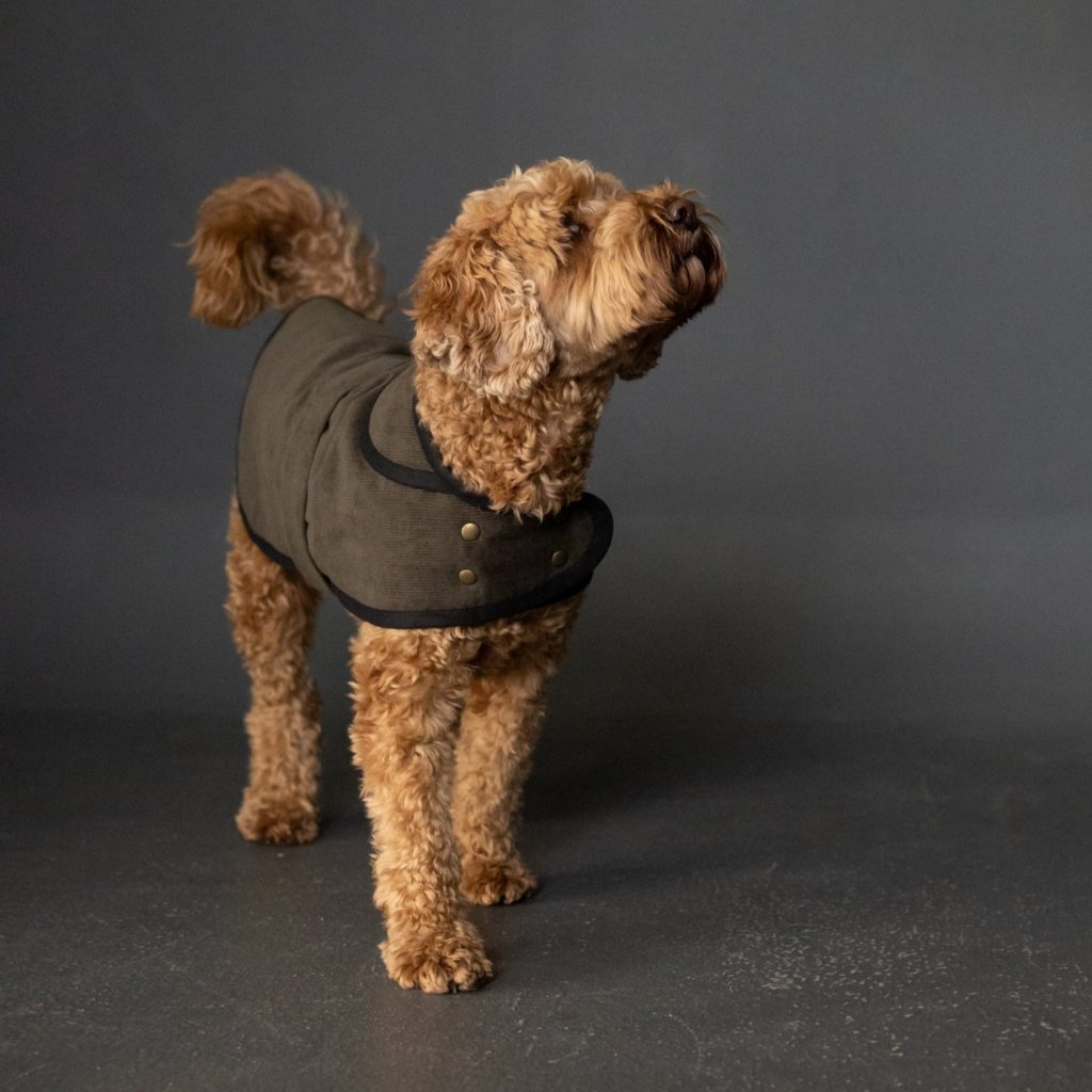 dog coat sewing pattern by merchant and mills