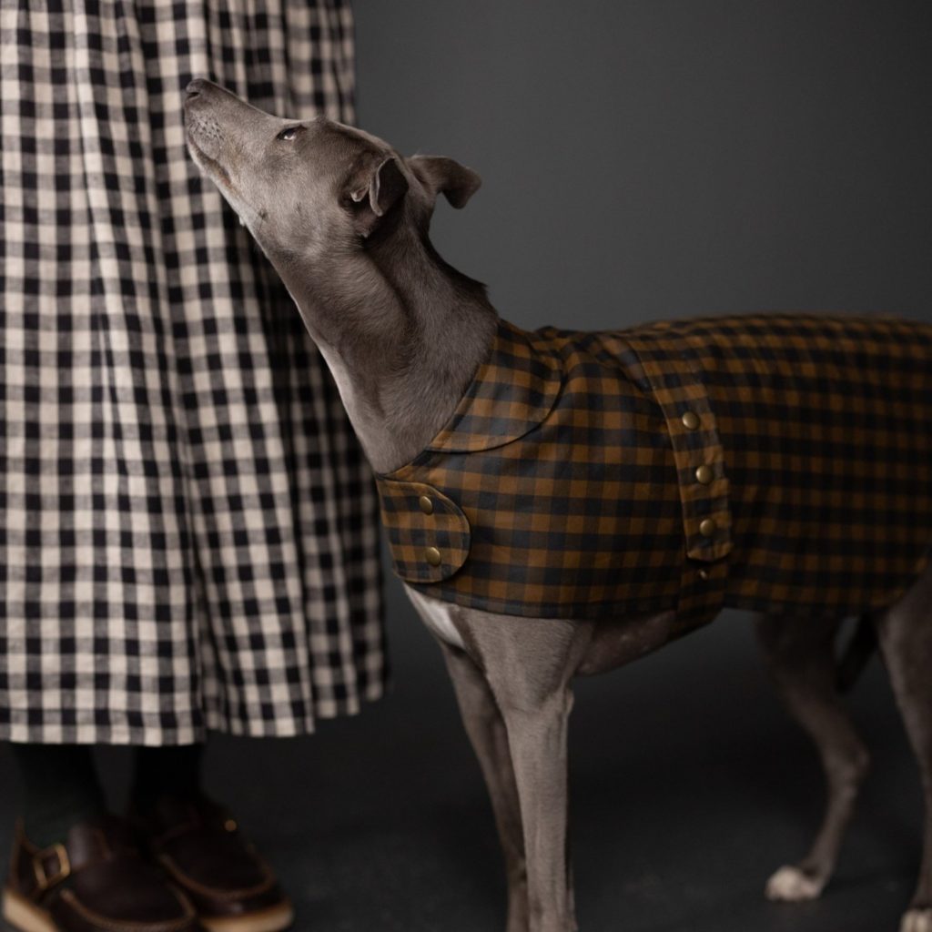 blog about dog coat sewing patterns by Merchant and Mills in check print