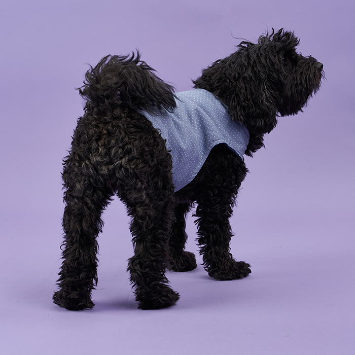 dog sewing coat pattern by Sew Over It